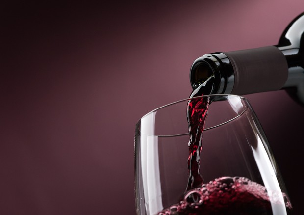 DoctorWine presenta il vino doc delle Marche selezionato alla Cena di Stato G20