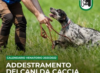 Allenamento dei cani e Piano di controllo del Piccione: la Regione cambia passo